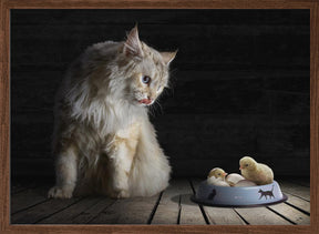 CatDinner Poster