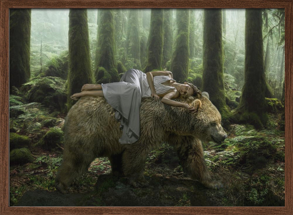 DreamBear Poster