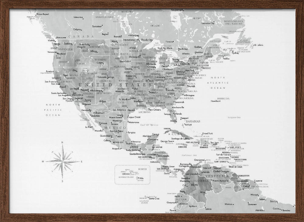 Gray map of USA and the Caribbean sea Poster