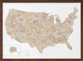 Taupe watercolor US map Poster