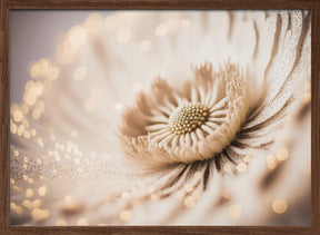 Beige Coral Flower Poster