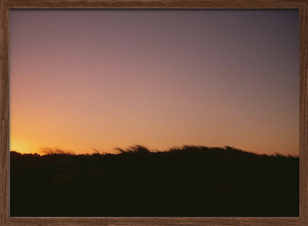 Dune Grass Sunset Horizontal Poster