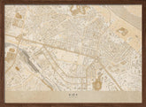 Sepia map of Kiev downtown (pre-war) Poster