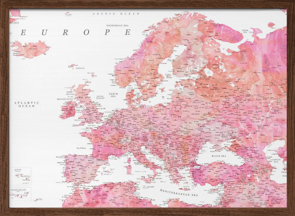 Tatiana detailed map of Europe Poster