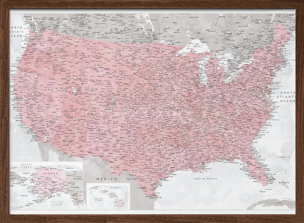 Highly detailed map of the United States, Gopi Poster