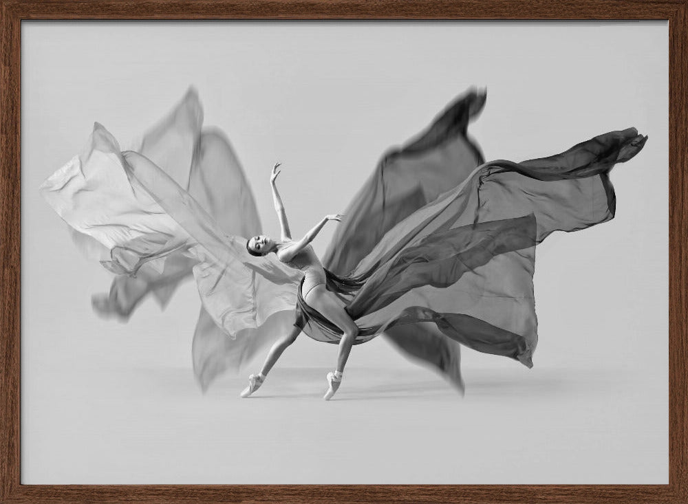 Balerina Butterfly Dance Poster