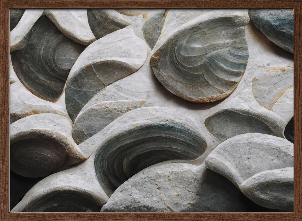 Sea Shells Detail No 5 Poster