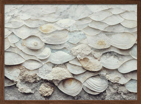 Sea Shells Detail No 7 Poster