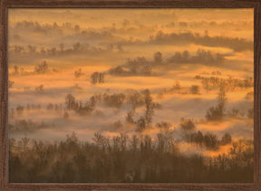 Morning mists Poster