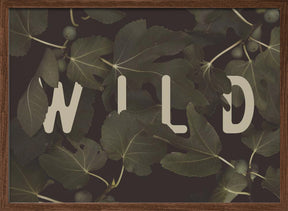 Wild Nº2 Poster