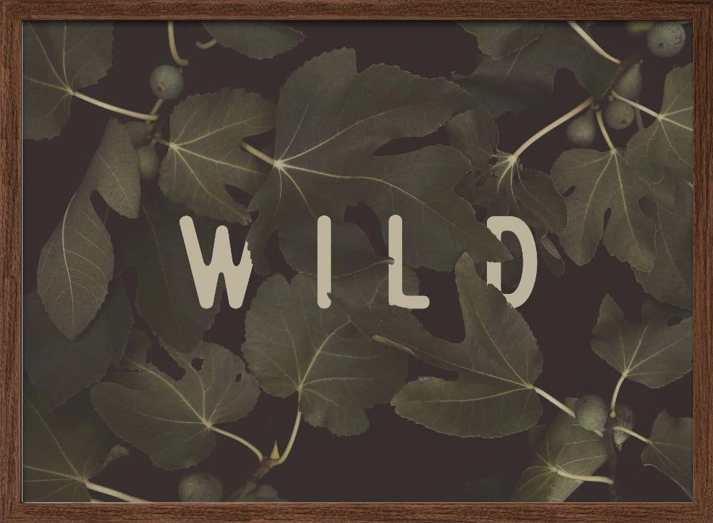 Wild Nº1 Poster