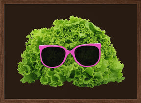 Mr Salad Poster