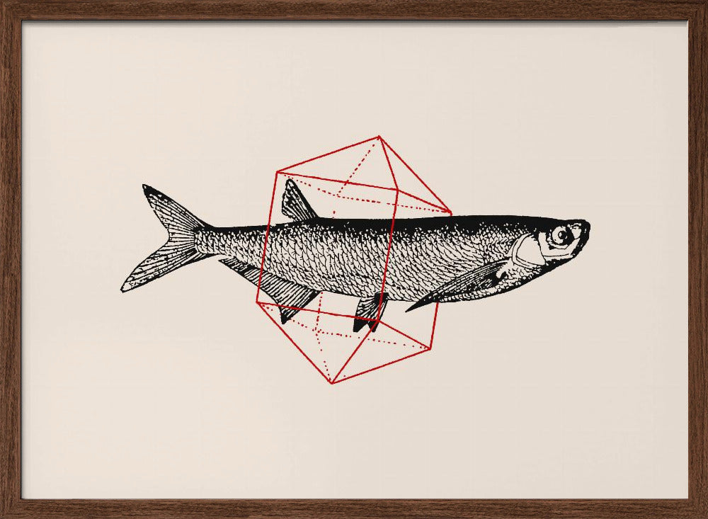 Fish In Geometrics Nº2 Poster