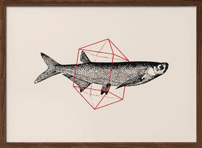 Fish In Geometrics Nº2 Poster