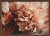 Splashed Peony Poster