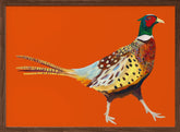 Strutting Pheasant On Orange Poster