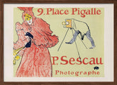 Le Photographe Sescau (1894) Poster