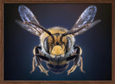 WildBee Poster