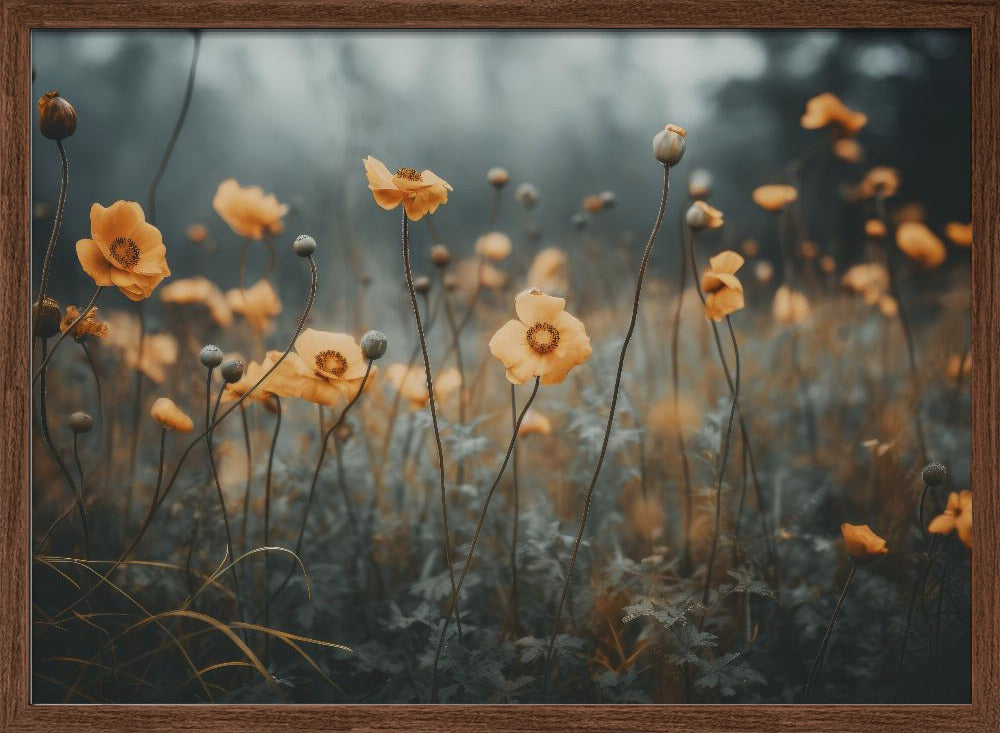 Orange Poppy Poster