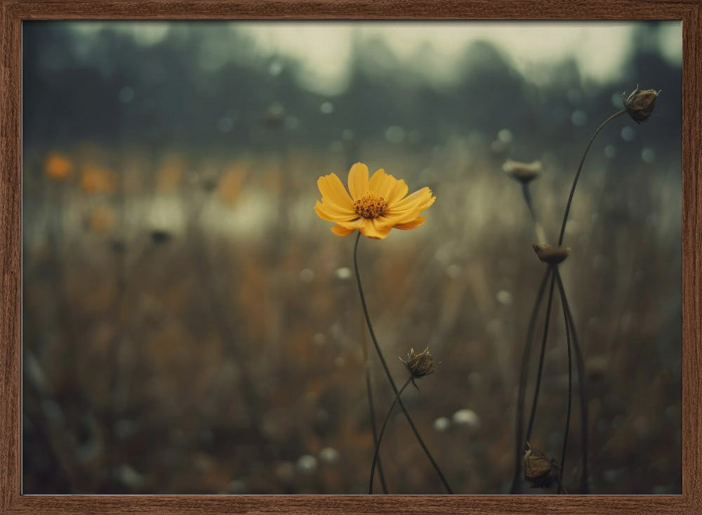 Yellow Flower Poster