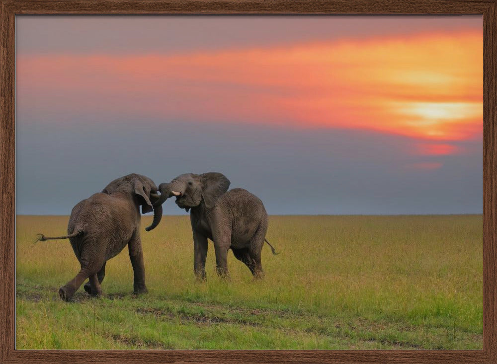 Dancing at The Sunset Poster