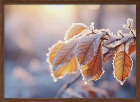 Winter Impressions No 10 Poster