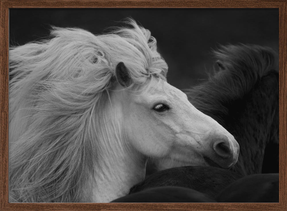 Bad Hair Day Poster