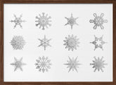 Twelve geometric snowflakes in gray Poster