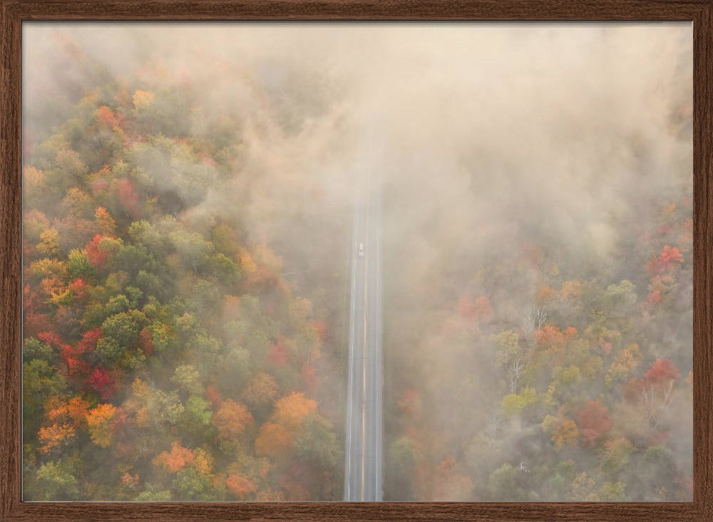 Road through Autumn Forest Poster