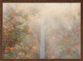 Road through Autumn Forest Poster