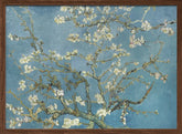 Vincent Van Gogh's Almond Blossom (1890) Poster