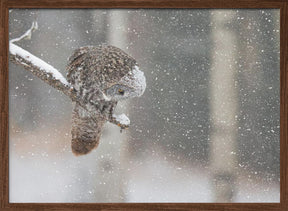 Huntting in The Snow Poster