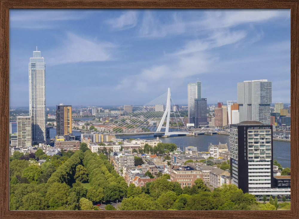 Unique Rotterdam panorama seen from the Euromast Poster