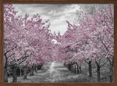 Charming cherry blossom alley Poster