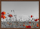 Lovely Poppy Field | panoramic view Poster