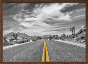 Park Boulevard, Joshua Tree National Park Poster