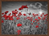 Idyllic Field of Poppies with Sun Poster