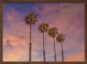 Palm trees - Idyllic sunset Poster