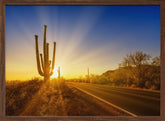 SAGUARO NATIONAL PARK Setting Sun Poster