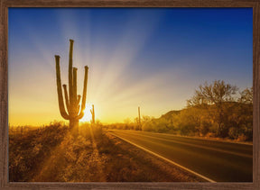 SAGUARO NATIONAL PARK Setting Sun Poster