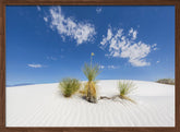 White Sands Impression Poster