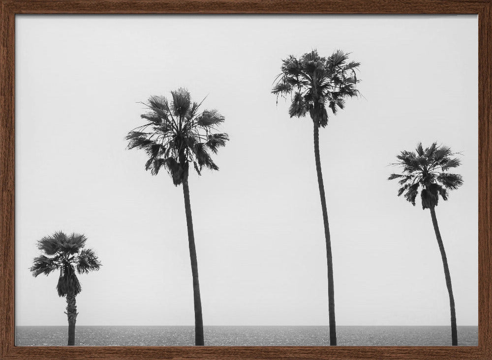 Palm trees by the sea | monochrome Poster