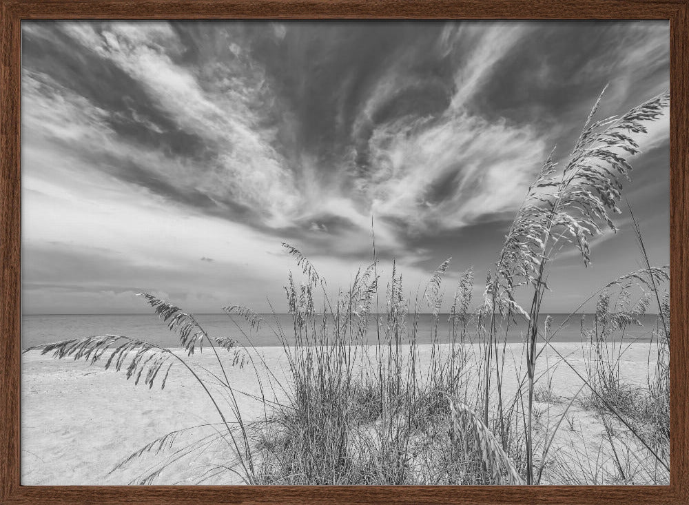 Heavenly calmness on the beach - monochrome Poster