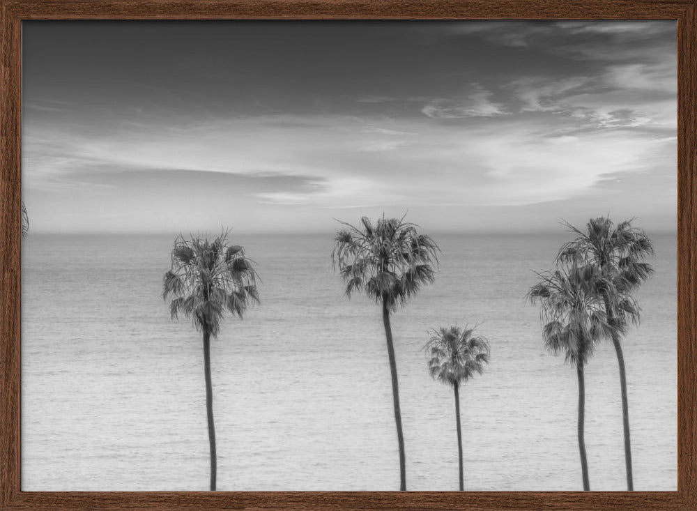 Lovely Palm Trees at the Ocean | monochrome Poster