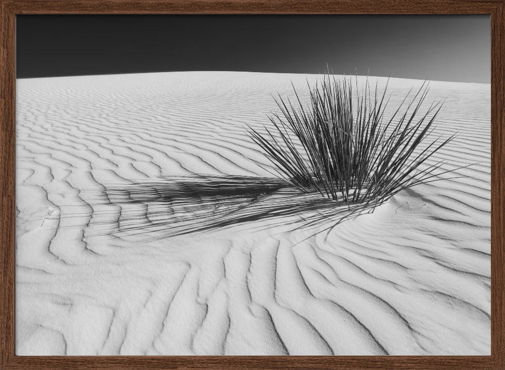 WHITE SANDS Idyllic scenery | Monochrome Poster