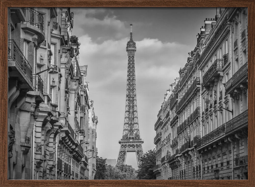 Monochrome Parisian Flair Poster