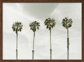 Palm Trees at the coast | Vintage Poster