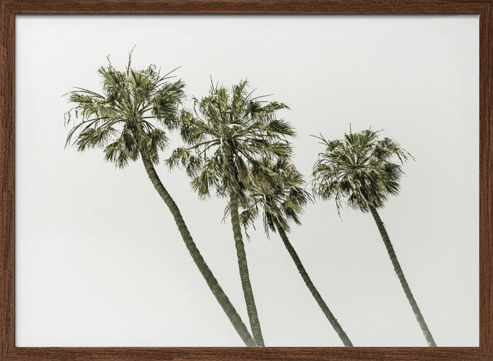 Palm trees by the sea | Vintage Poster