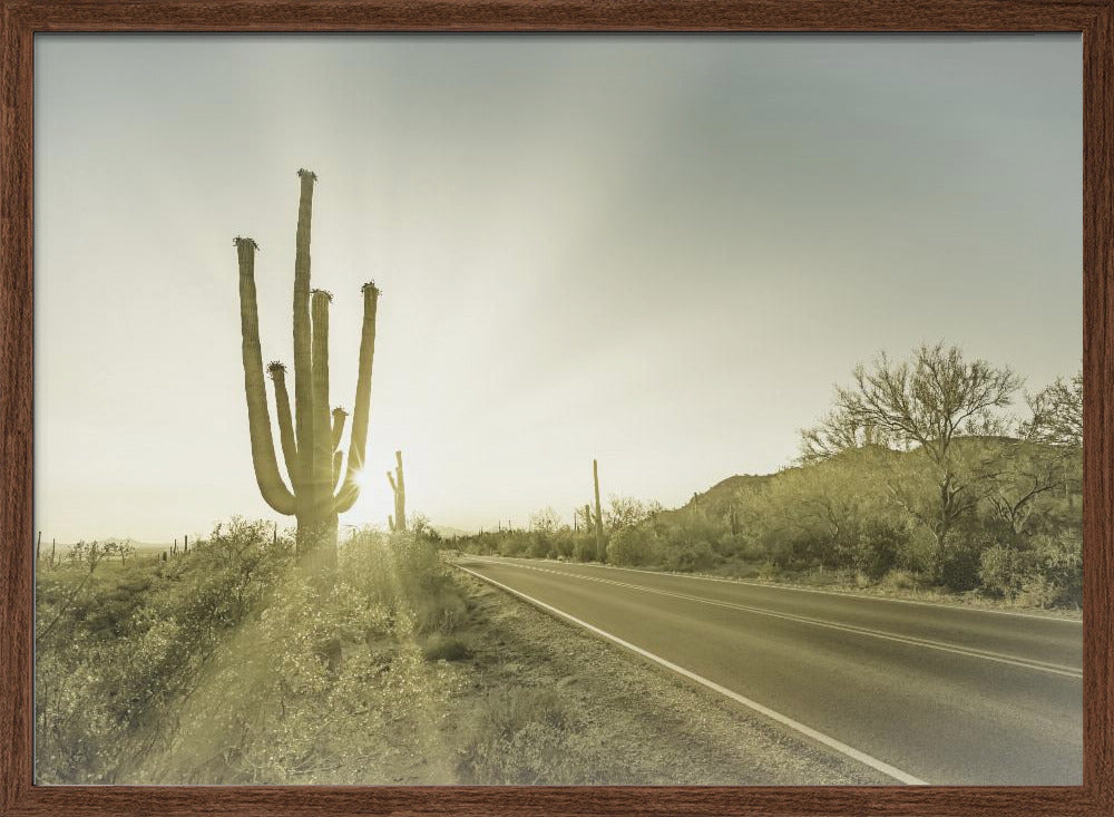 SAGUARO NATIONAL PARK Setting Sun | Vintage Poster