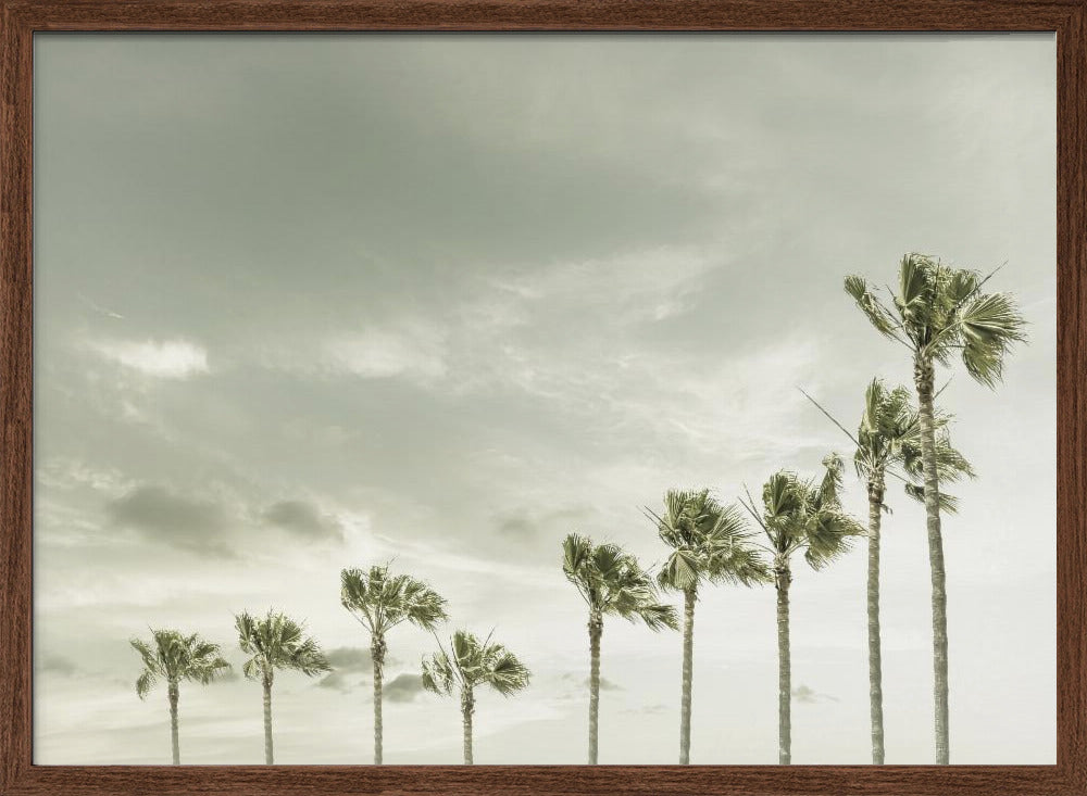 Vintage Palm Trees at the beach Poster